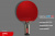 Теннисная ракетка Start line Level 500 New (анатомическая) 12603 Теннисная ракетка Start line Level 500 New (анатомическая) 12603
